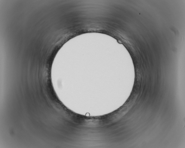 X0000112870362200910021337