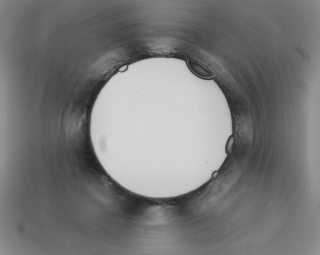 X0000112870364200910021337