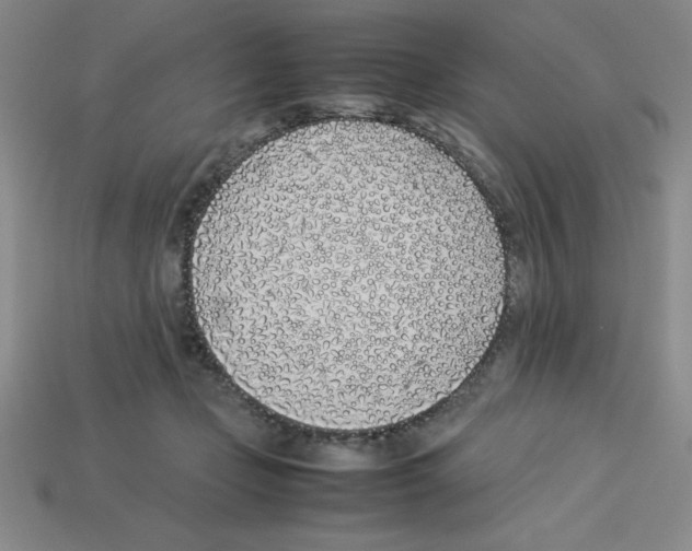 X0000112870365200910021337