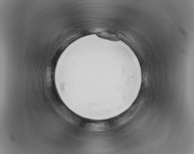 X0000112870366200910021337