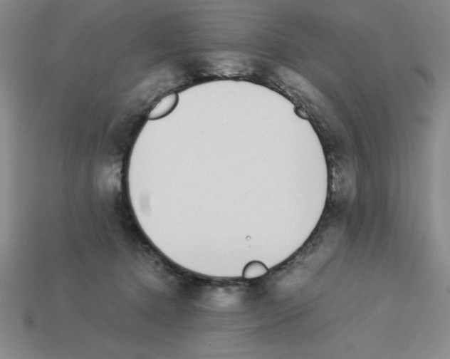 X0000112870368200910021337