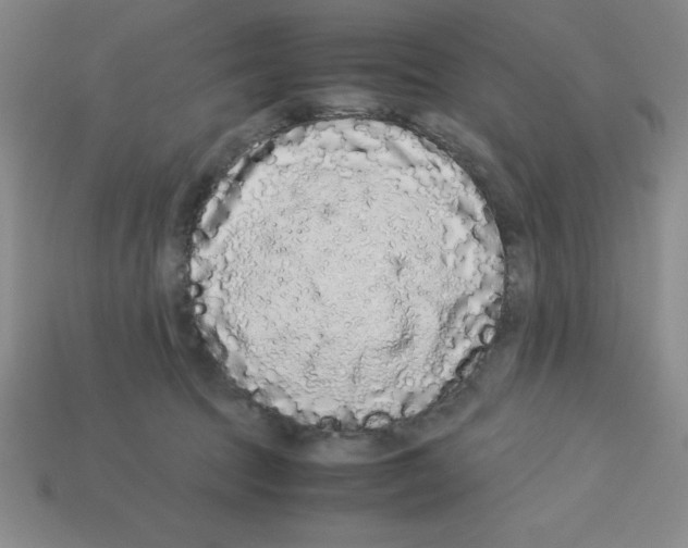 X0000112870369200910021337