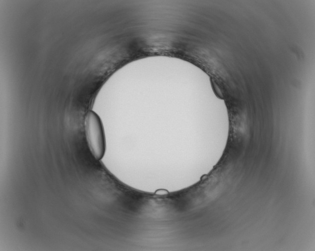 X0000112870372200910021337