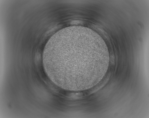 X0000112870375200910021337