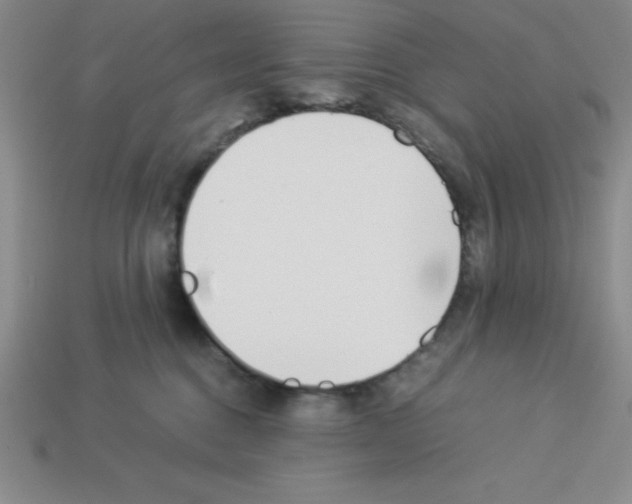 X0000112870376200910021337