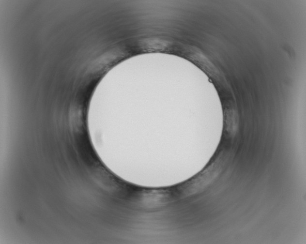 X0000112870378200910021338