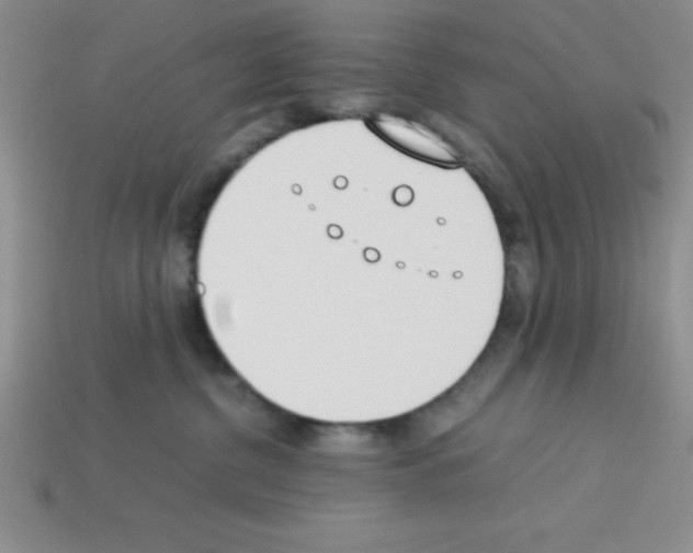 X0000112870380200910021338