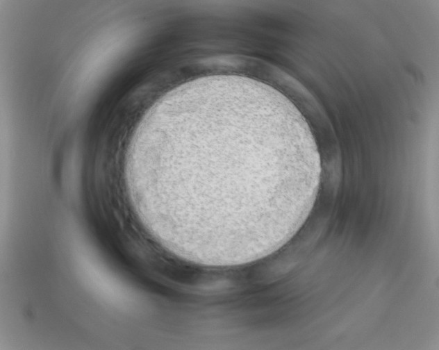 X0000112870381200910021338