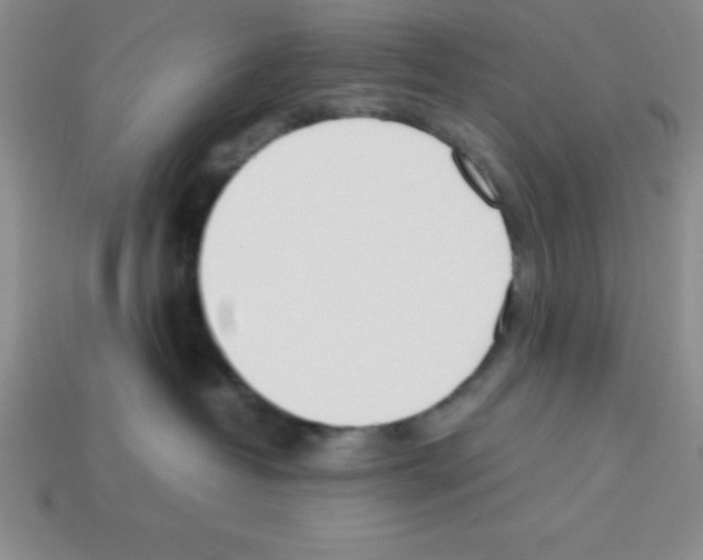 X0000112870382200910021338