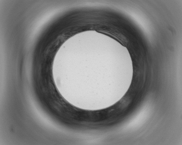 X0000112870383200910021338