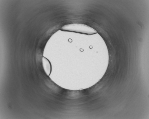 X0000112870384200910021338