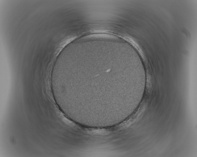 X0000112870385200910021337