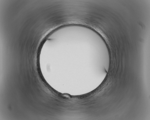 X0000112870391200910021337