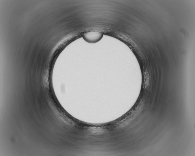 X0000112870392200910021337