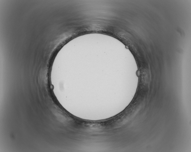 X0000112870395200910021337