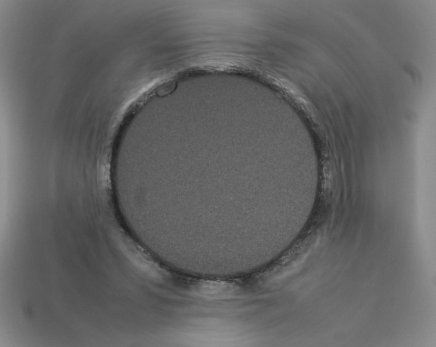 X0000112870399200910021337