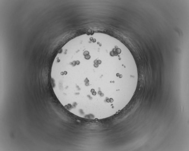 X0000112870402200910021337