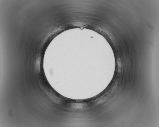 X0000112870404200910021337