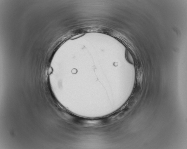 X0000112870405200910021337