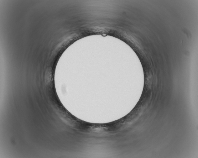 X0000112870407200910021337