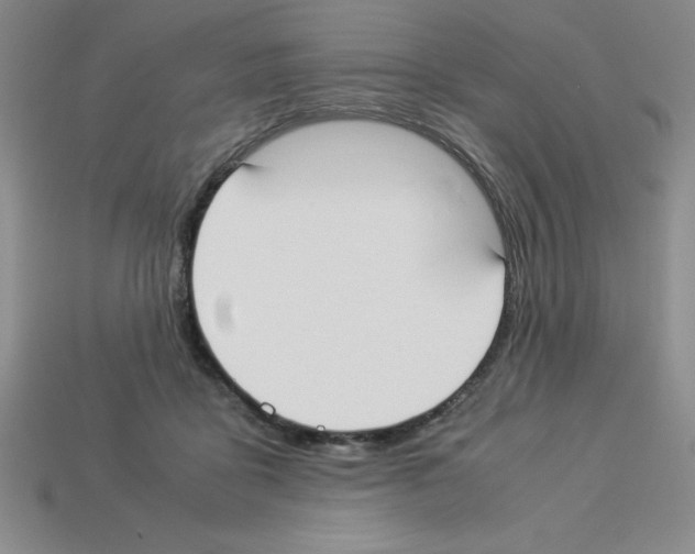 X0000112870411200910021337