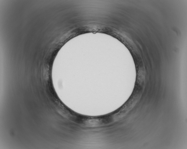 X0000112870413200910021337