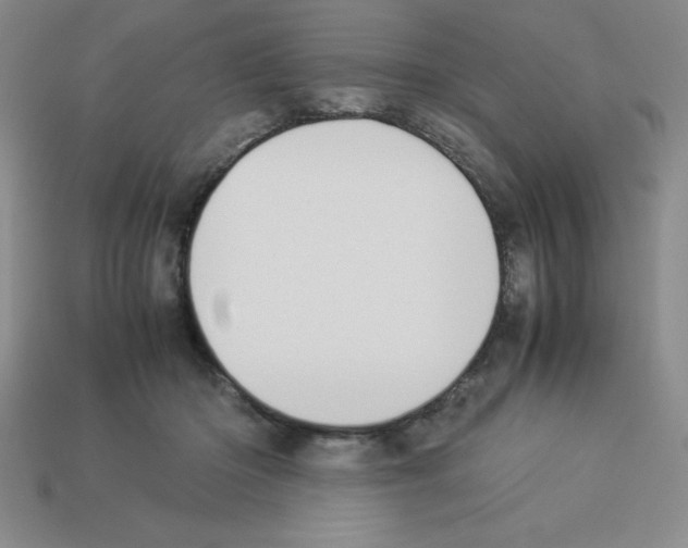 X0000112870414200910021337