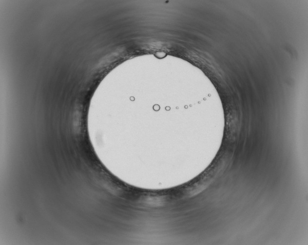 X0000112870416200910021337