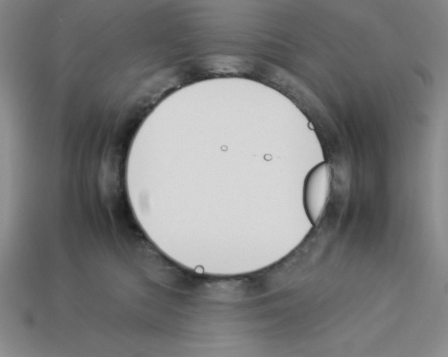 X0000112870422200910021337