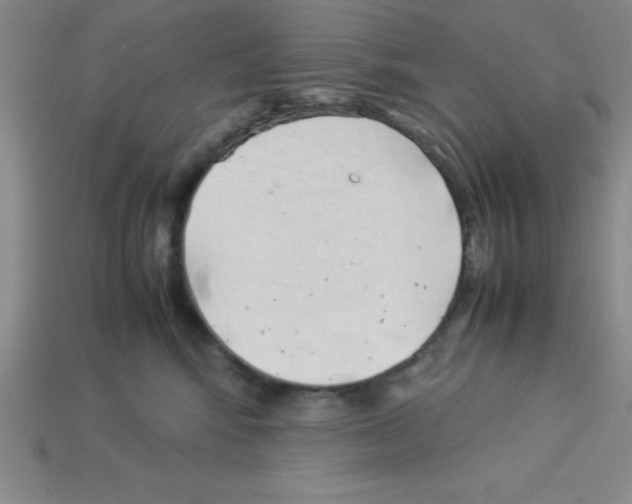 X0000112870424200910021336