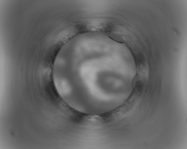 X0000112870427200910021336