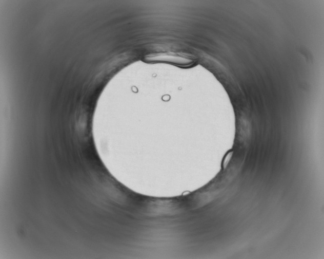 X0000112870428200910021336