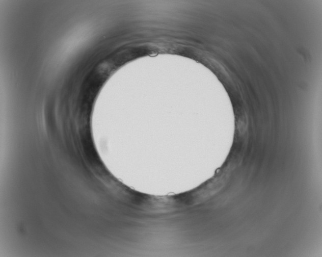 X0000112870429200910021336