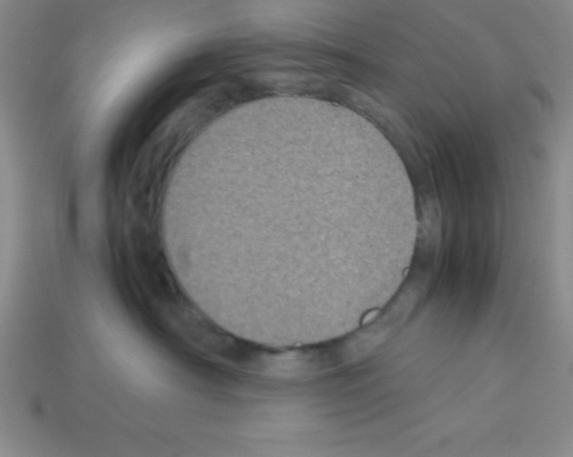 X0000112870430200910021336