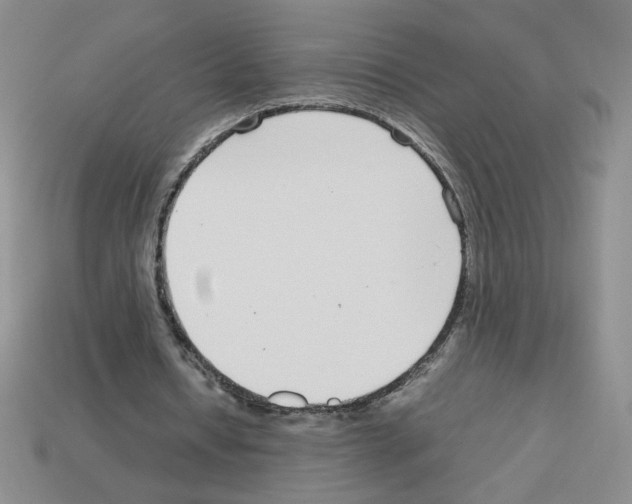 X0000112870434200910021336