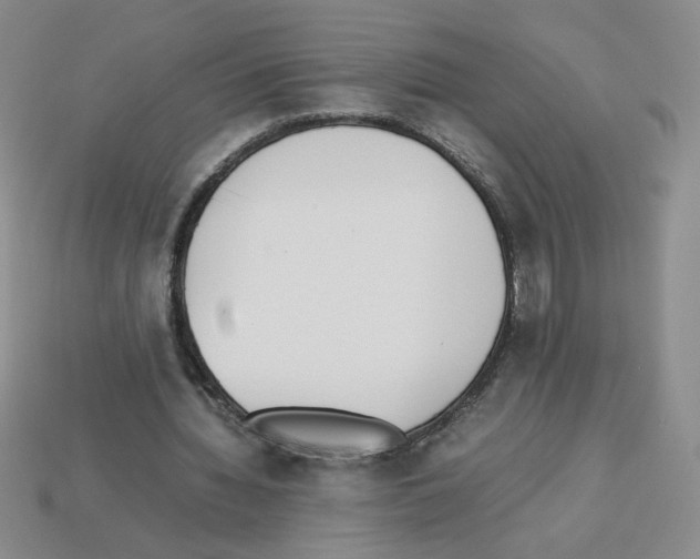 X0000112870436200910021336