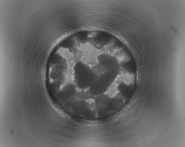 X0000112870438200910021336