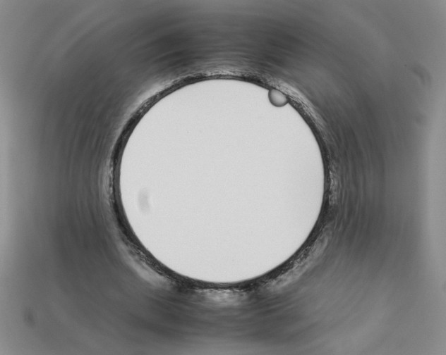 X0000112870439200910021336