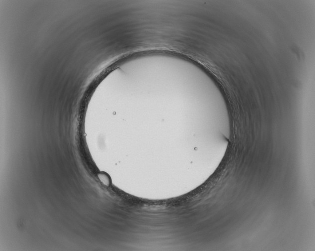 X0000112870440200910021336