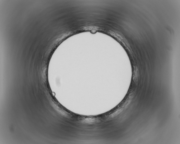 X0000112870441200910021336