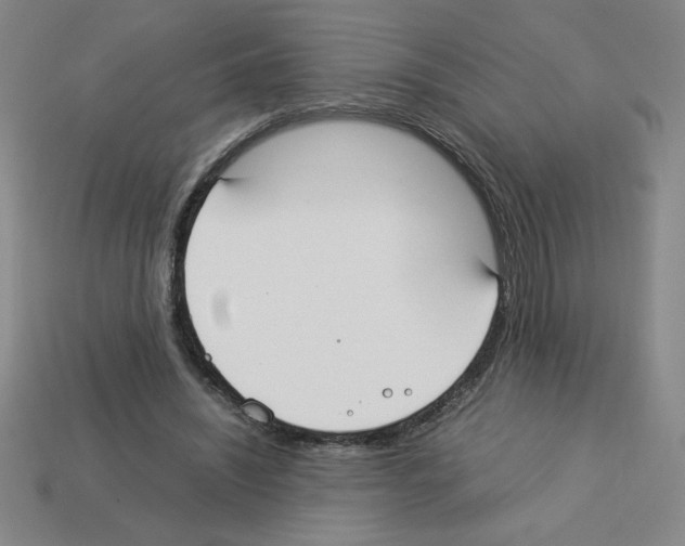 X0000112870444200910021336