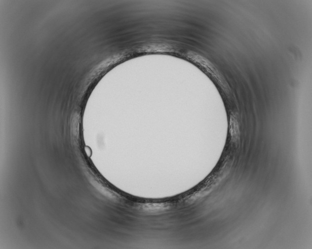 X0000112870445200910021336