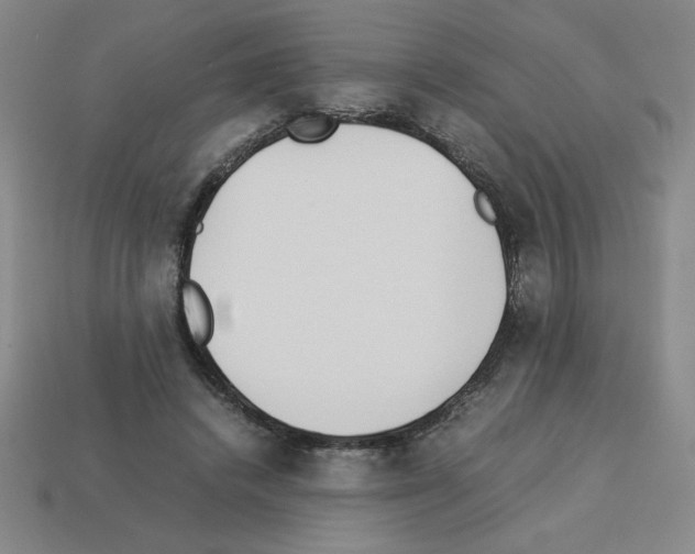 X0000112870448200910021336