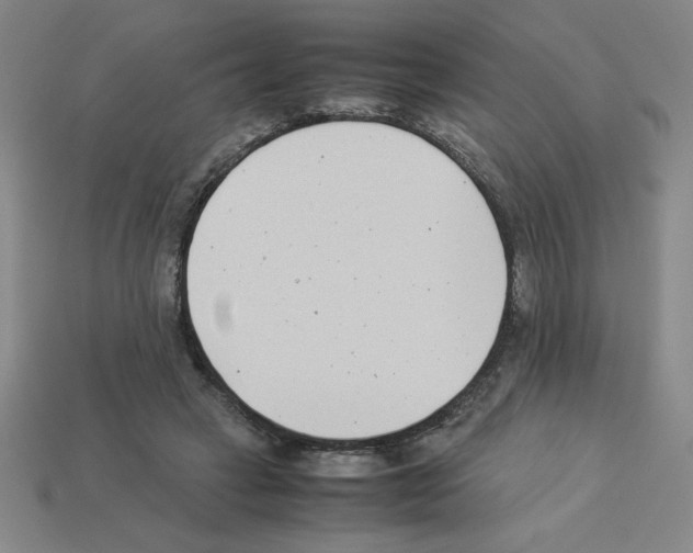 X0000112870449200910021336