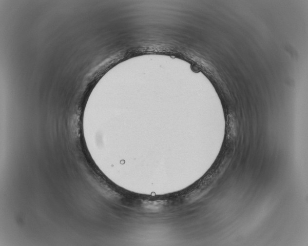 X0000112870450200910021336