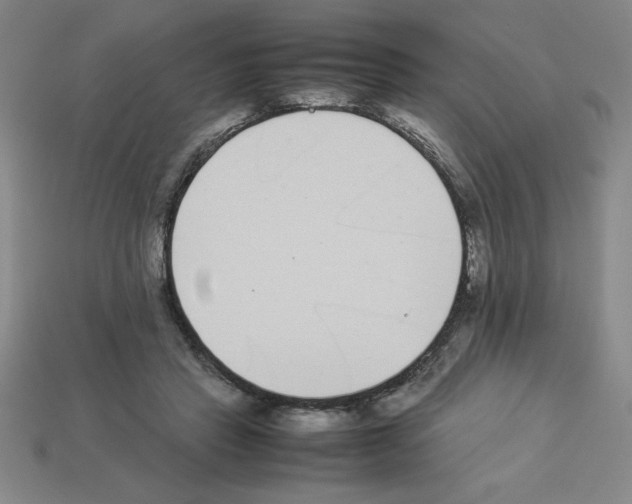 X0000112870453200910021336