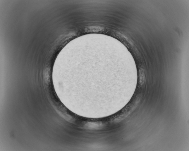 X0000112870455200910021336