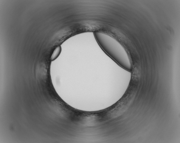 X0000112870456200910021336