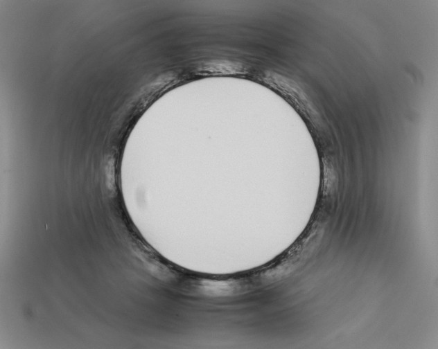 X0000112870457200910021336