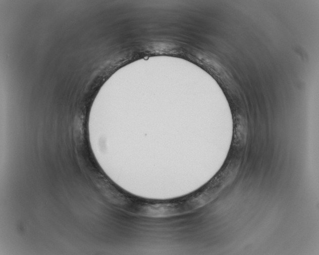 X0000112870461200910021336